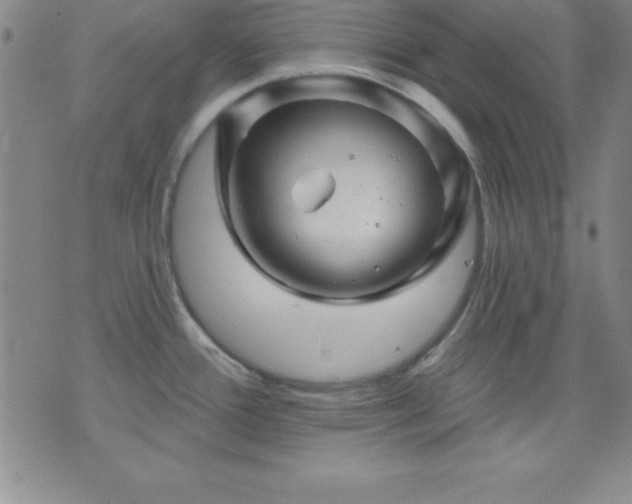 X0000075901388200609221926