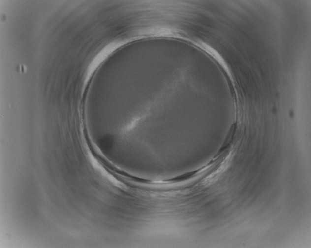 X0000075901389200609221926