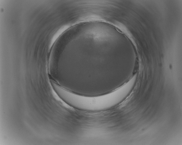 X0000075901390200609221926