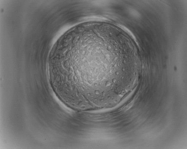 X0000075901391200609221926