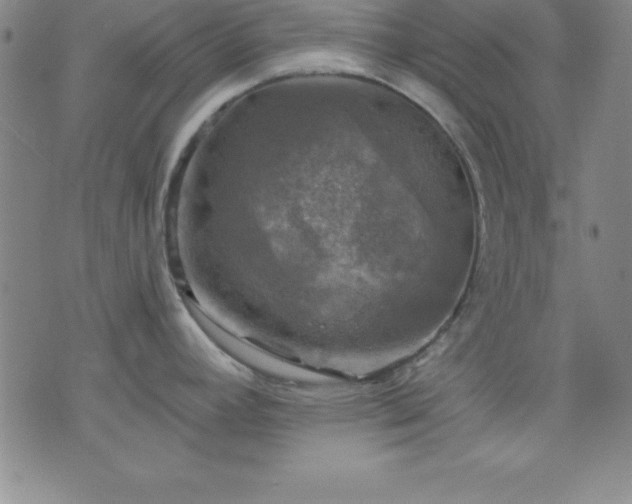 X0000075901392200609221926