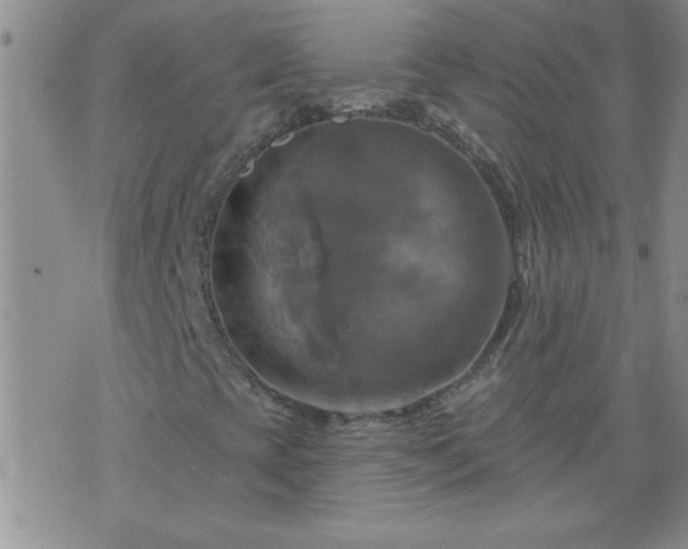 X0000075901393200609221925