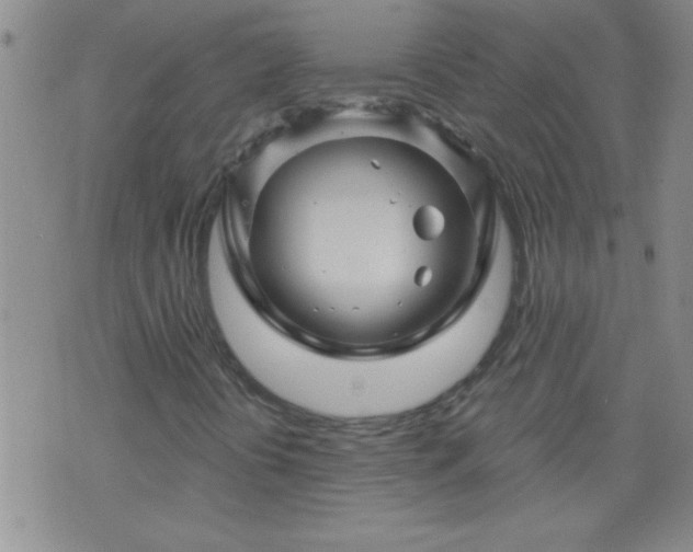 X0000075901394200609221925