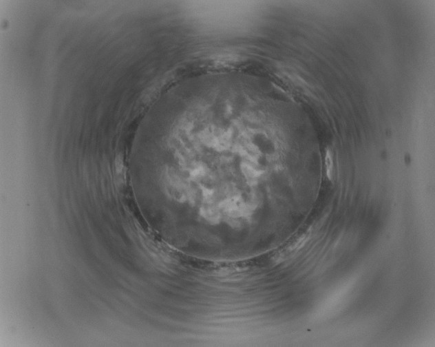 X0000075901395200609221925