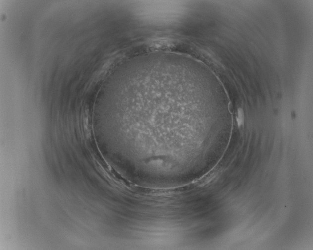 X0000075901396200609221925