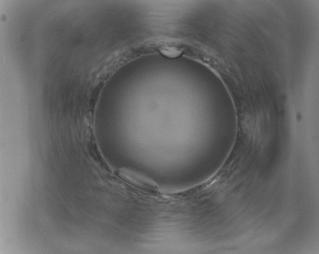 X0000075901397200609221925