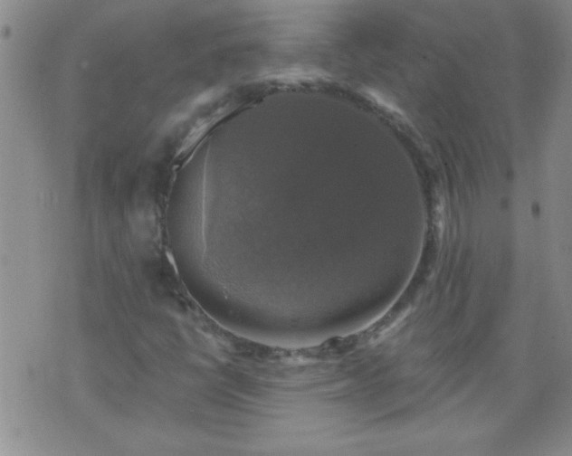 X0000075901398200609221925