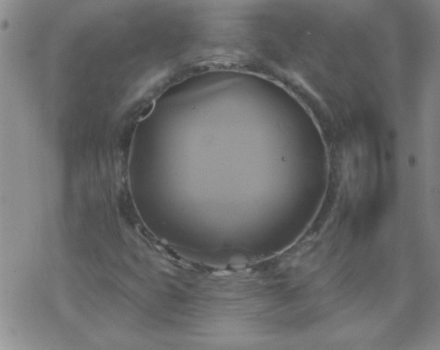 X0000075901399200609221925