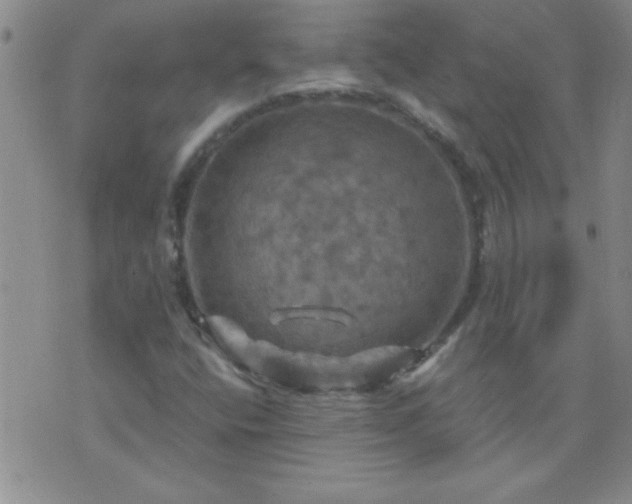 X0000075901400200609221925