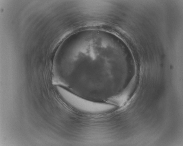 X0000075901401200609221925