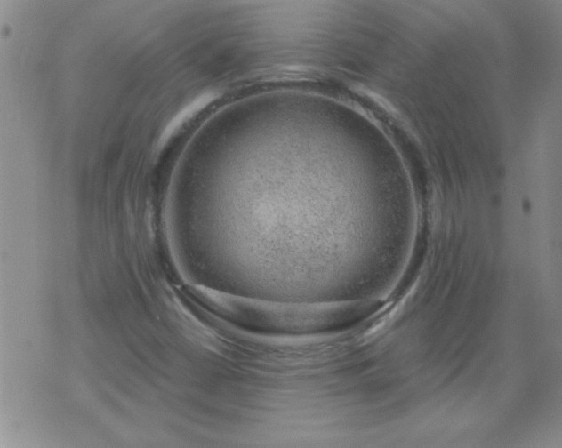 X0000075901402200609221925