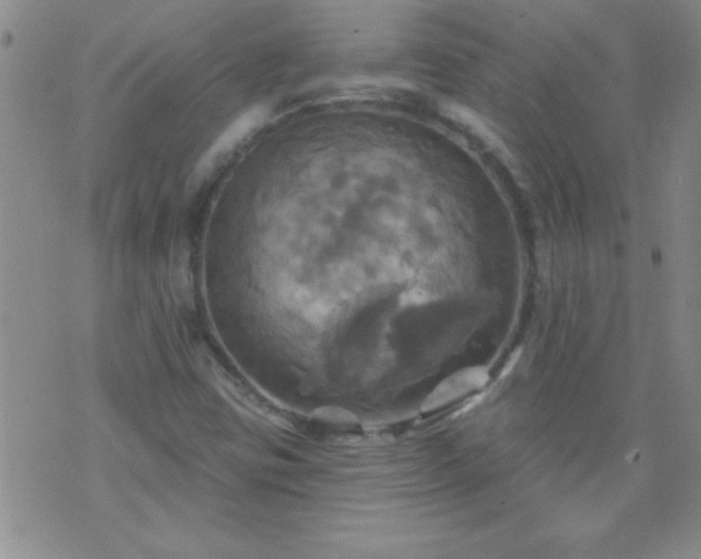 X0000075901403200609221925