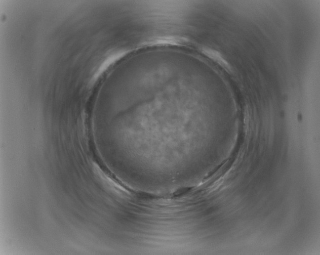 X0000075901404200609221925