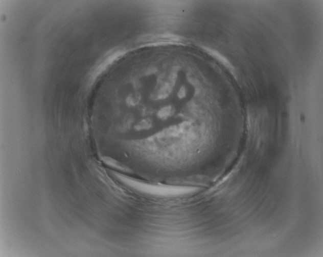 X0000075901407200609221925