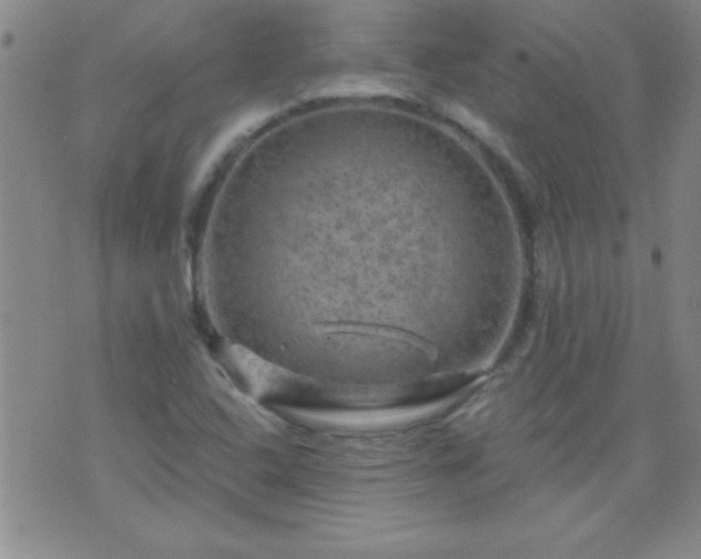 X0000075901408200609221925