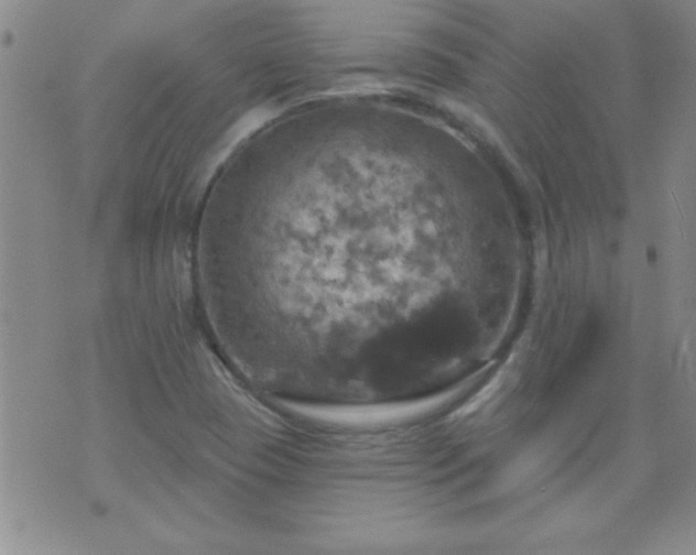 X0000075901409200609221925