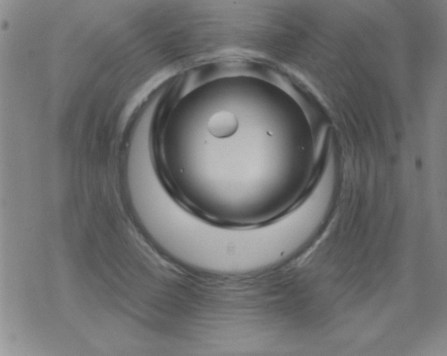 X0000075901410200609221925