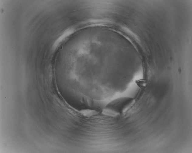 X0000075901411200609221925