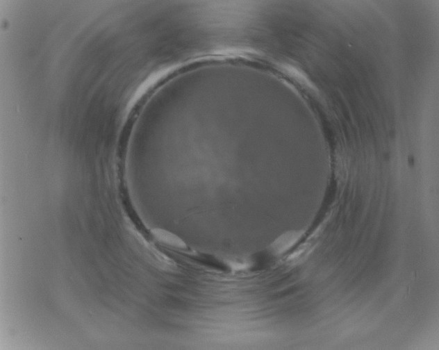 X0000075901412200609221925