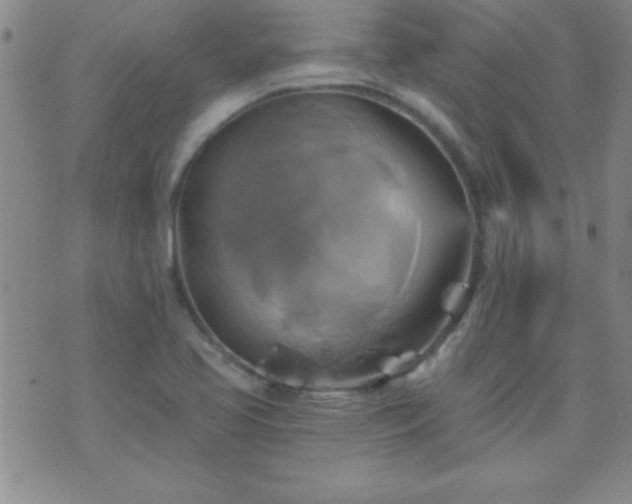 X0000075901413200609221925