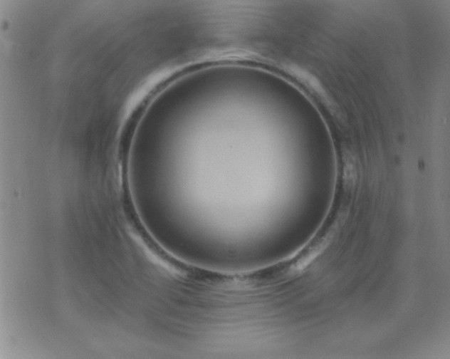 X0000075901414200609221925