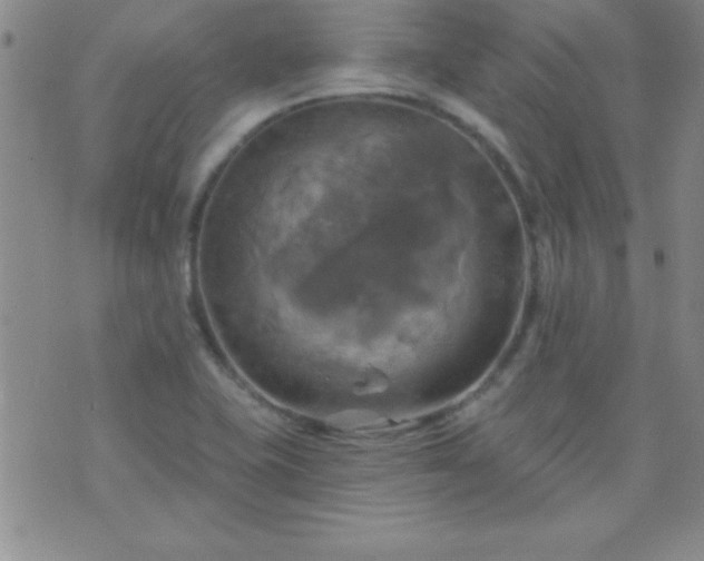 X0000075901415200609221925