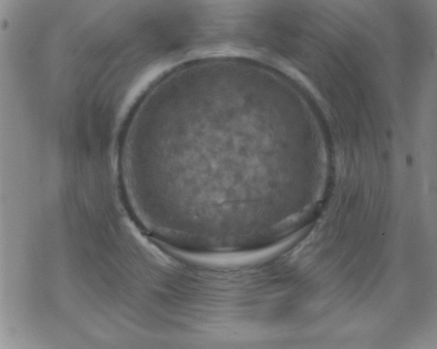 X0000075901416200609221925