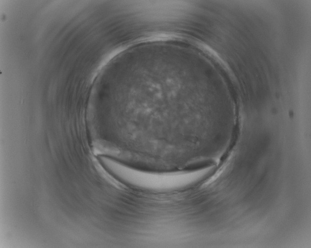 X0000075901417200609221925