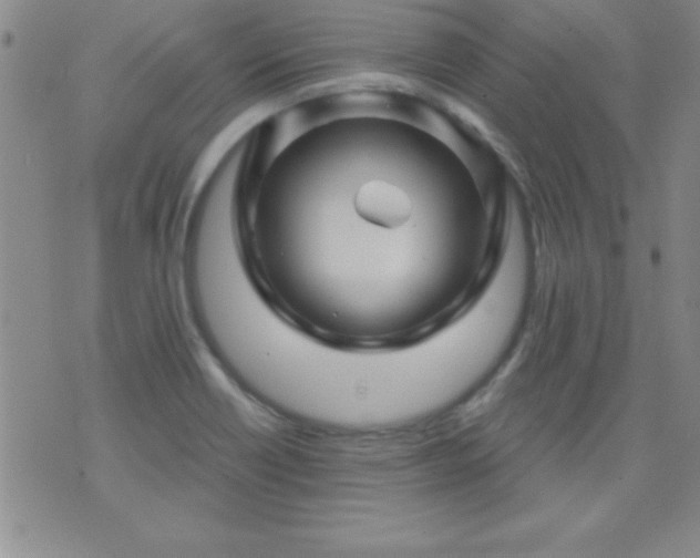 X0000075901418200609221925