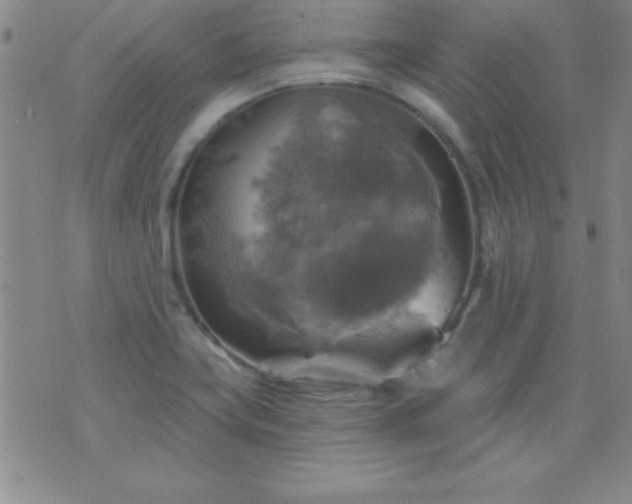 X0000075901419200609221925