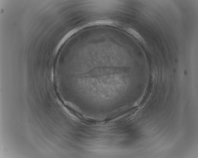 X0000075901420200609221925