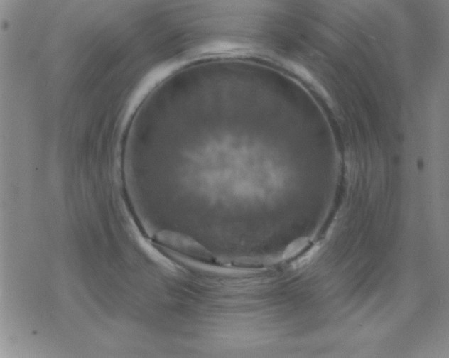 X0000075901421200609221925