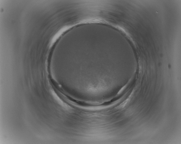 X0000075901422200609221925