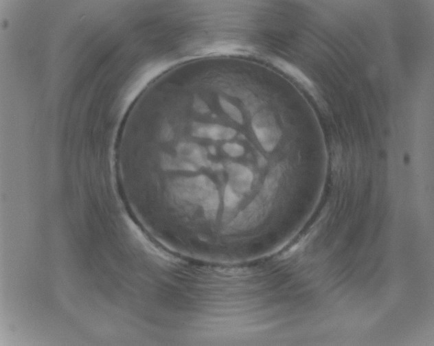 X0000075901423200609221925