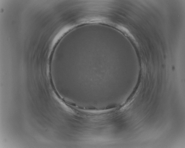 X0000075901424200609221925