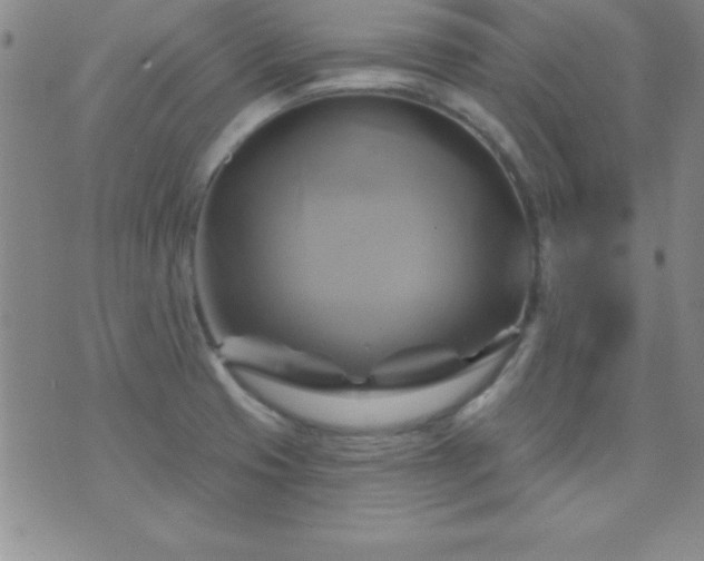 X0000075901425200609221925