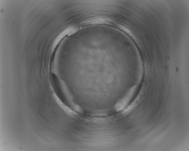 X0000075901426200609221925