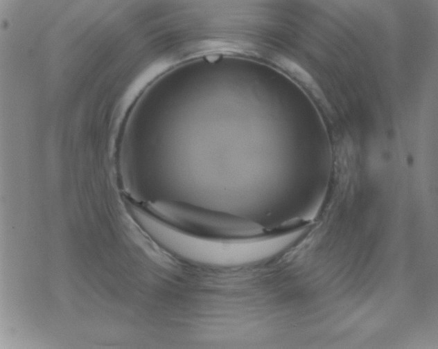 X0000075901427200609221925