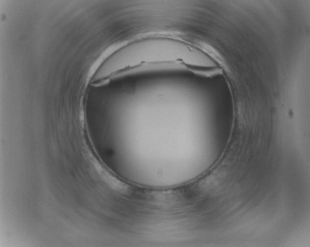 X0000075901428200609221925