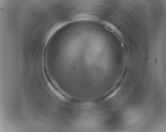 X0000075901431200609221925