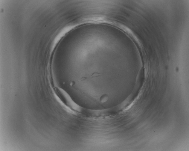 X0000075901432200609221925