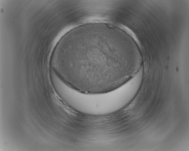 X0000075901435200609221926