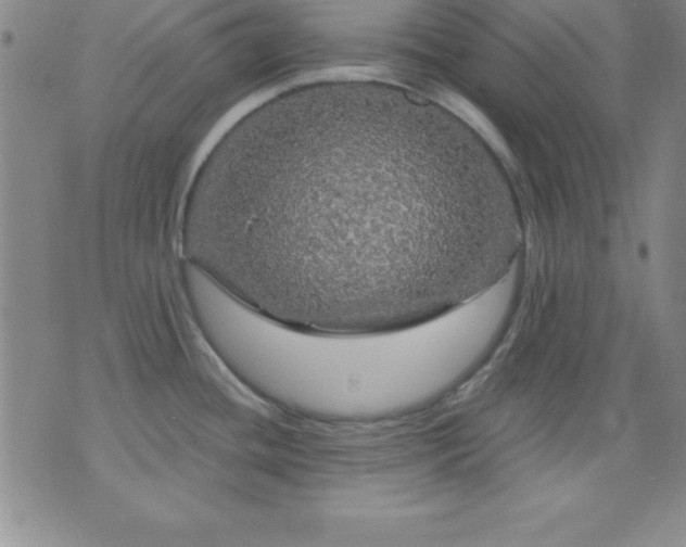 X0000075901436200609221926