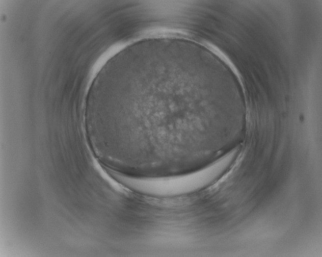 X0000075901437200609221926