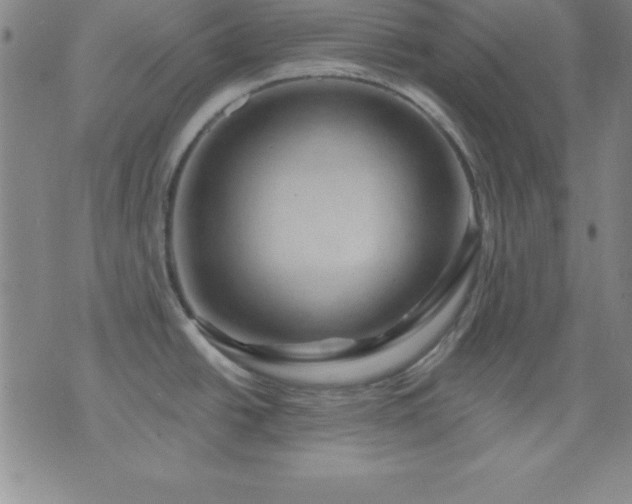 X0000075901438200609221926