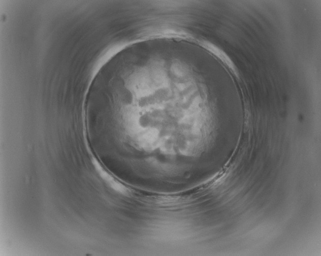 X0000075901439200609221926