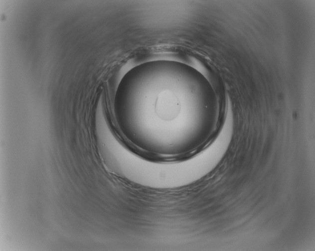 X0000075901441200609221925