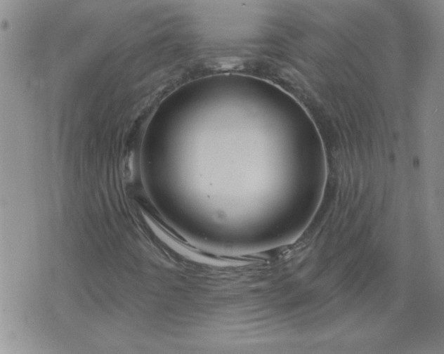 X0000075901442200609221925