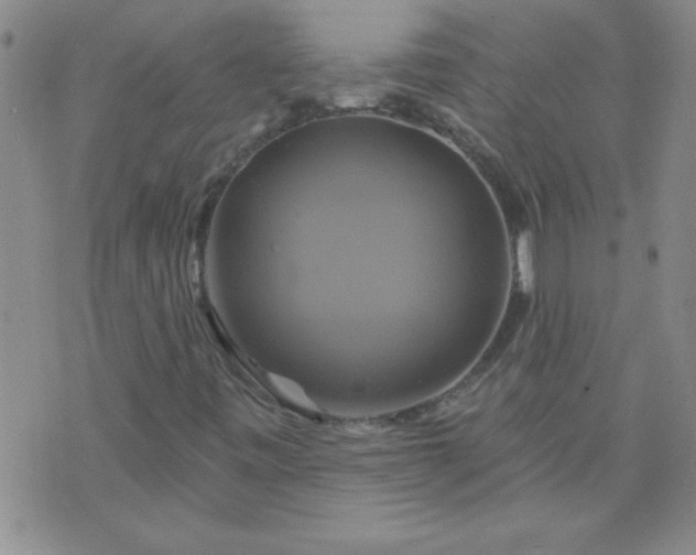 X0000075901443200609221925