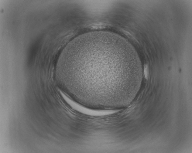 X0000075901444200609221925